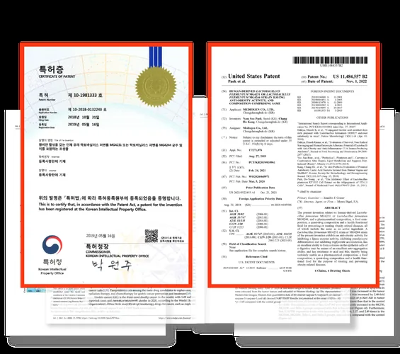 제품 이미지